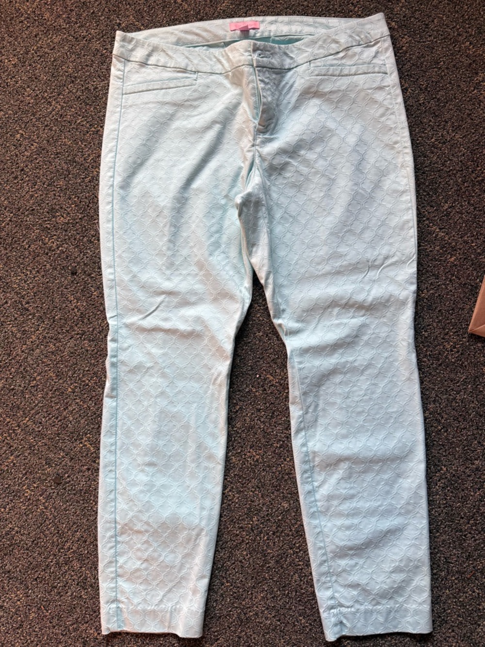Lilly Pulitzer Light Blue Textured Ankle Pants
